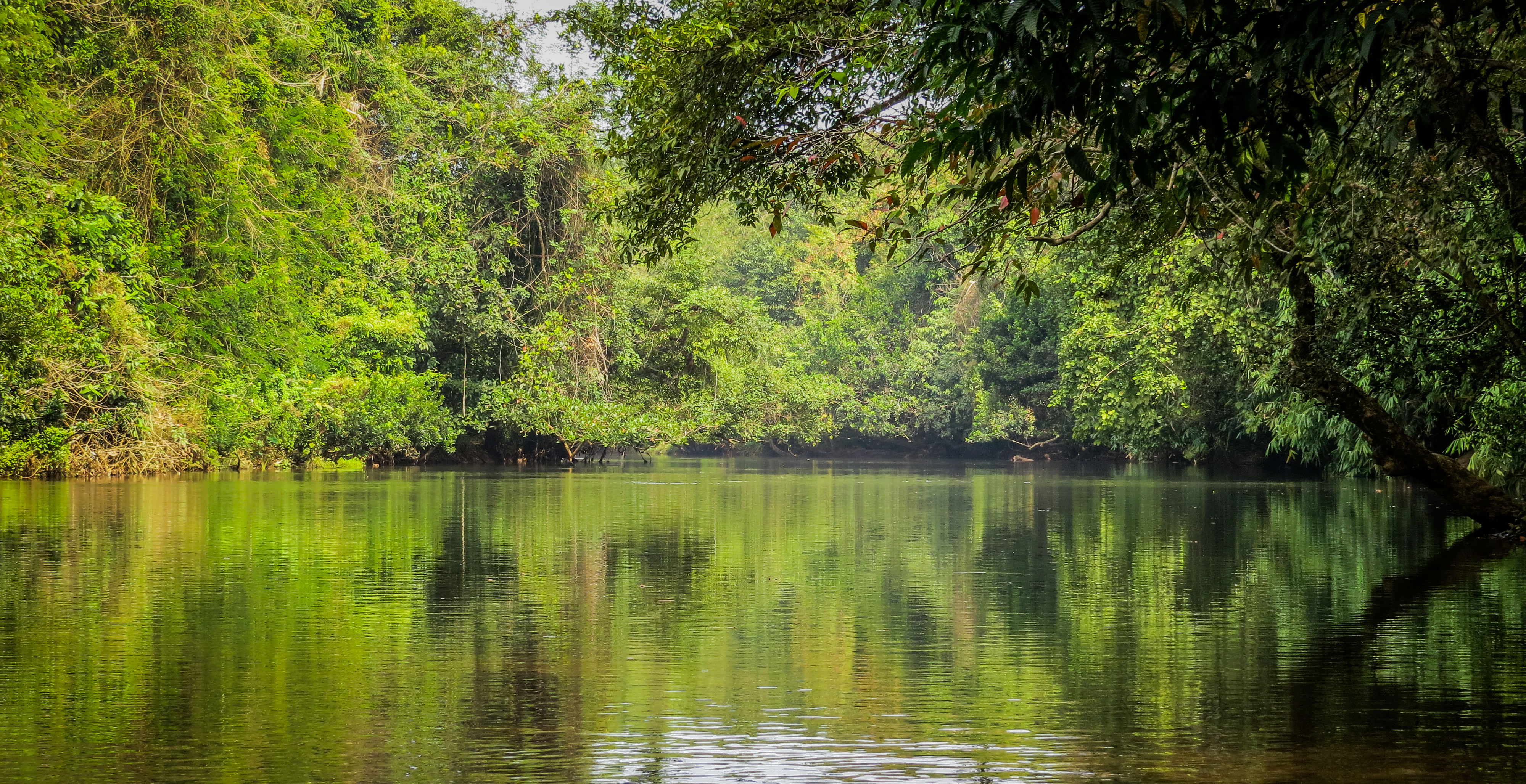 Best time to visit Aranmula