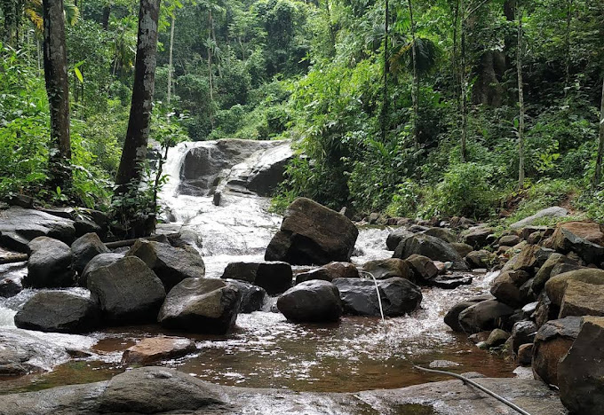 Adavi Pathanamthitta