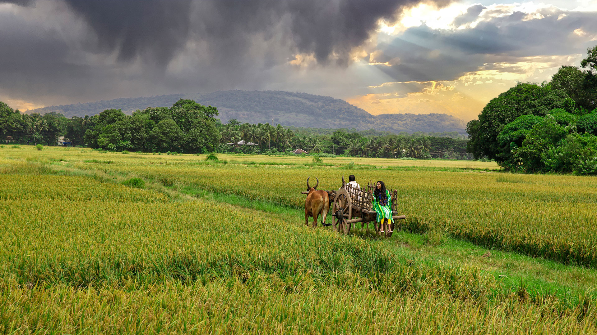 Angamoozhy destination in Pathanamthitta