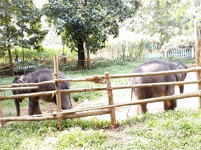 Angamoozhy in Pathanamthitta