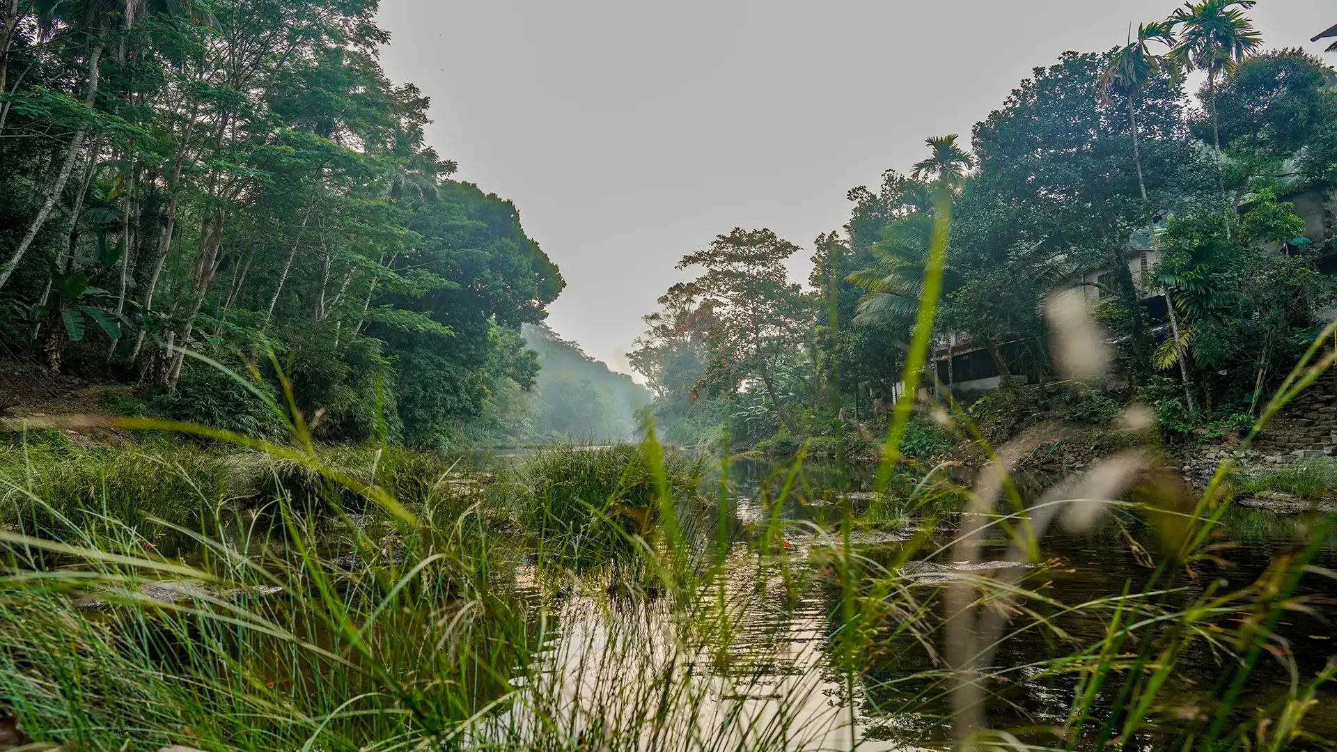Angamoozhy, Pathanamthitta