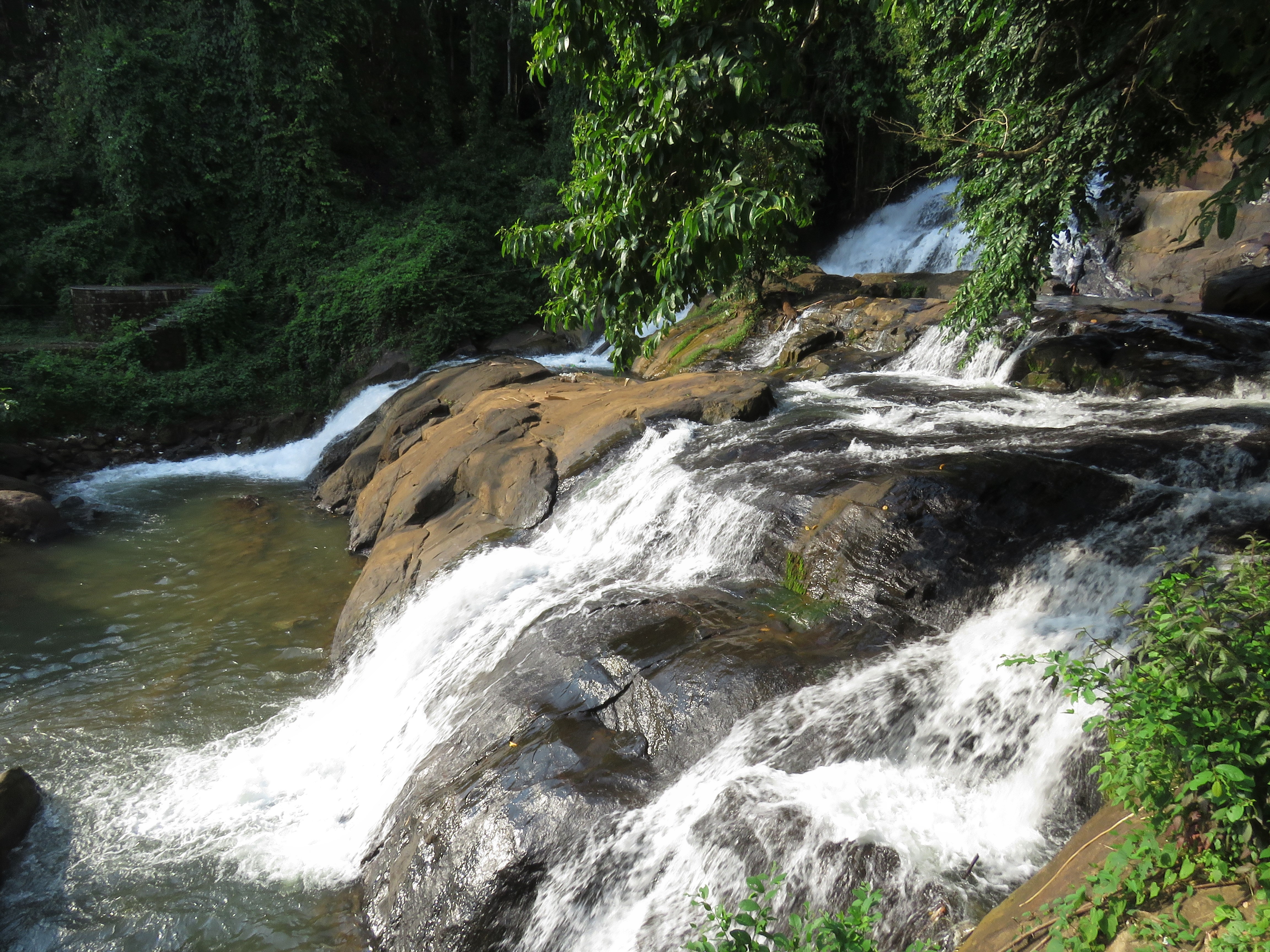 Aruvikkuzhi Waterfall Transpotation