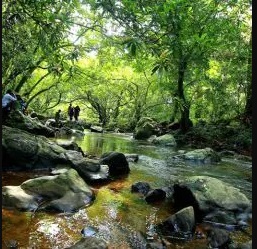 Aruvikkuzhi Waterfall Pathanamthitta