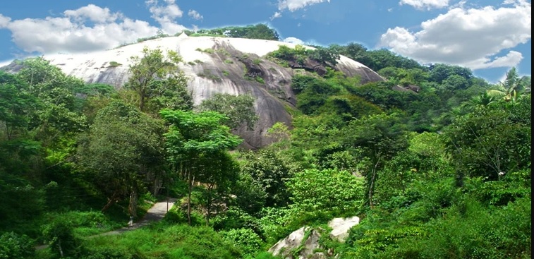 Charalkunnu Hill Station  Pathanamthitta