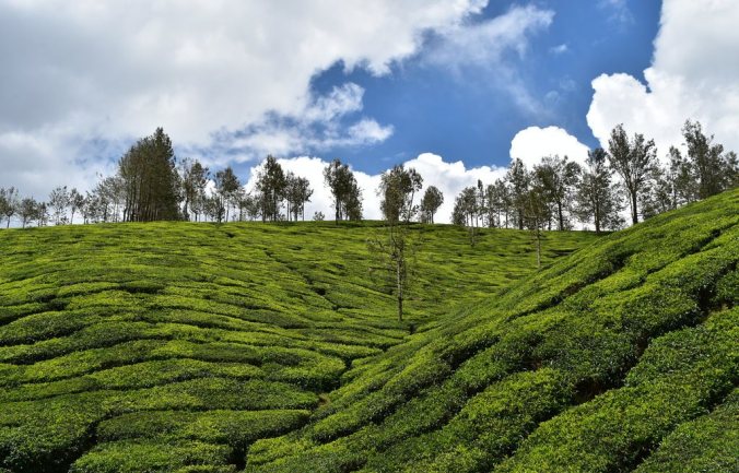 Hill stations in Pathanamthitta