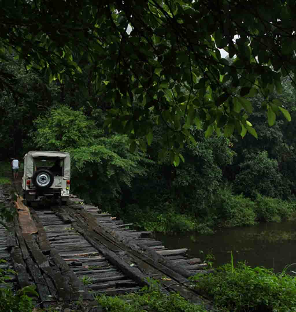 Activities in Pathanamthitta