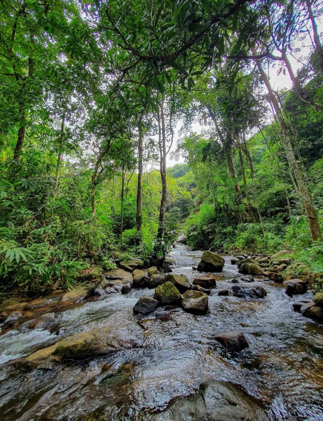 activities in Pathanamthitta