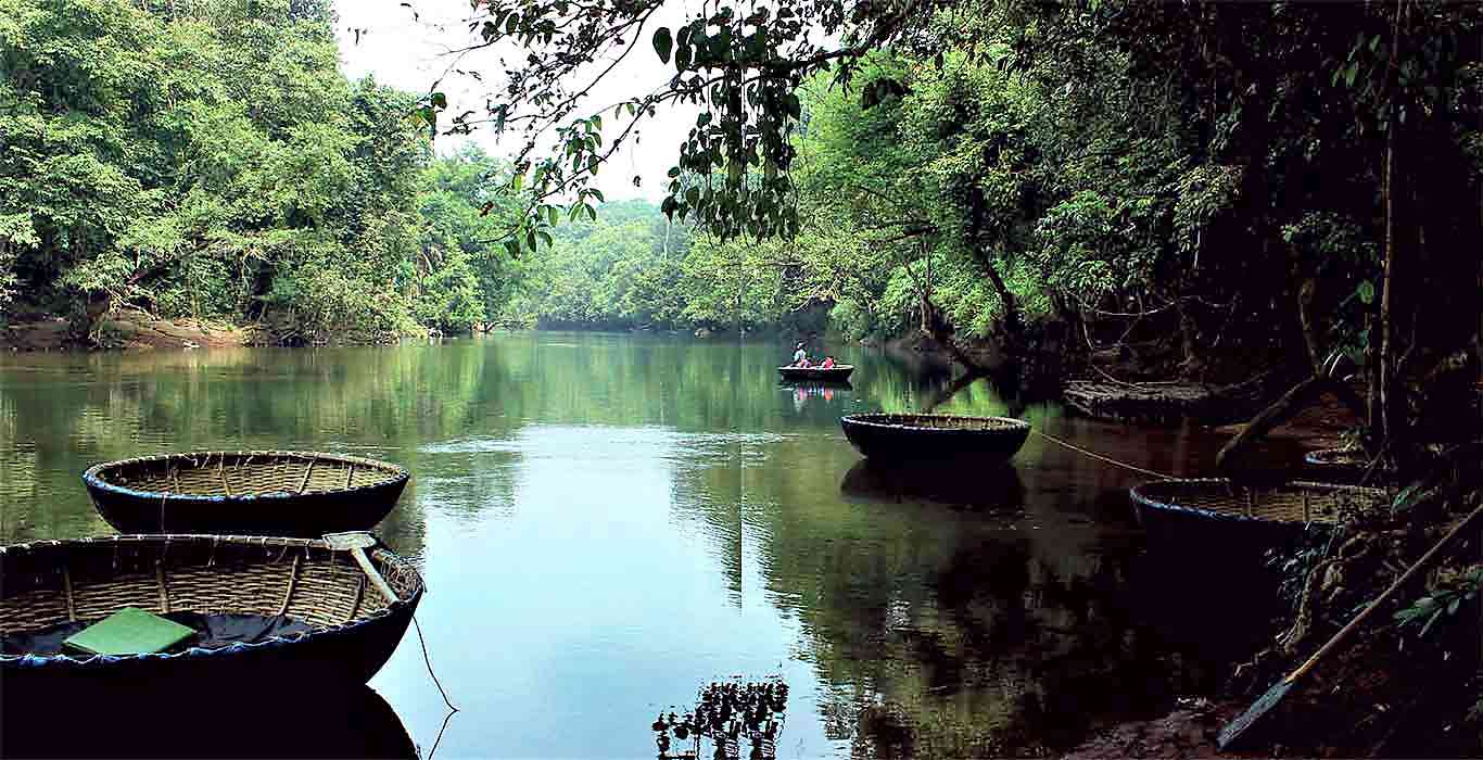 Konni Forest Pathanamthitta