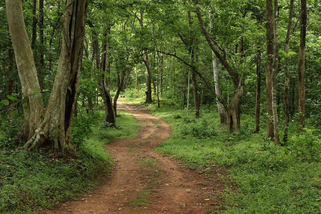 Konni Pathanamthitta