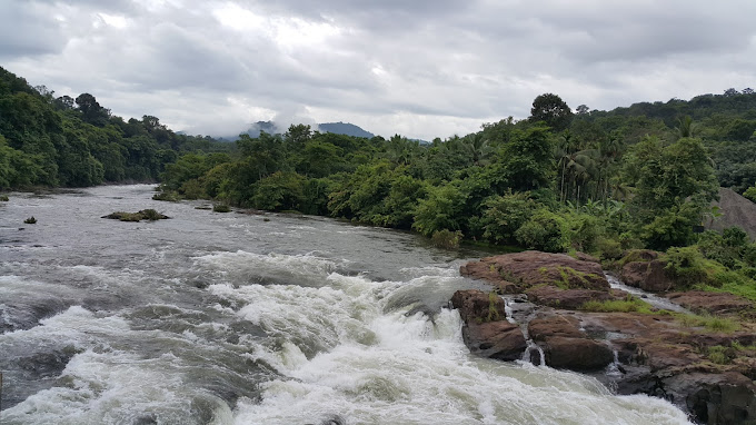 activities in Pathanamthitta