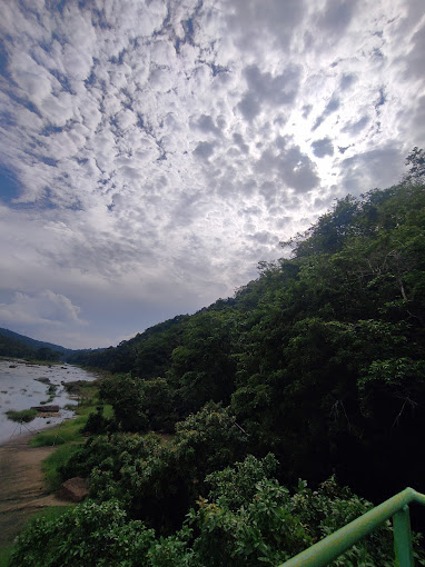 Perunthenaruvi Waterfalls, Pathanamthitta